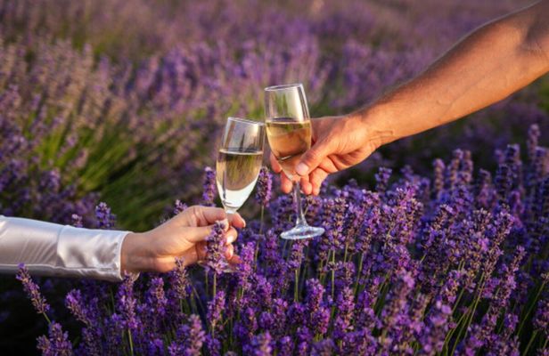Lavender field self-guided tour with bottle of Champagne