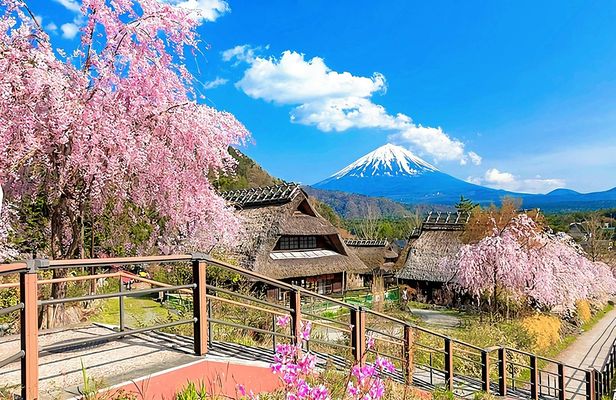 Mount Fuji top 4 must-visit attractions full day tour from Tokyo