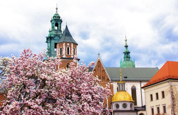 1-hour Tour of Krakow with a Local