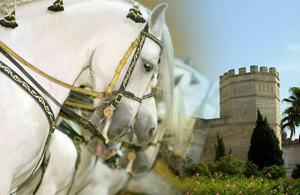Jerez guided tour with Royal Andalusian School of Equestrian Art