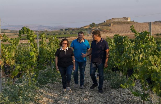 Wine and extra virgin olive oil tasting in the Agrigento countryside