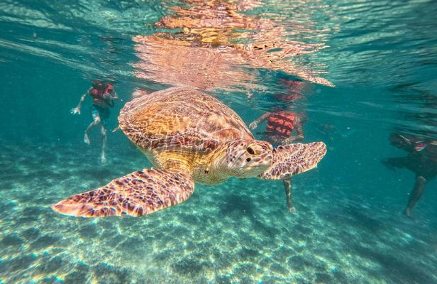 Riviera Maya exploration with Tulum, Akumal Bay, and Cenote visit