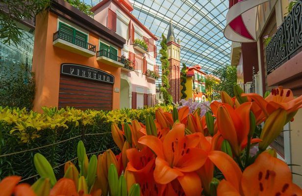 Cloud Forest and Flower Dome at Gardens By The Bay Entrance Tickets