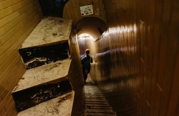 VIP St. Peter's Basilica tour with Dome climb and Papal Crypt