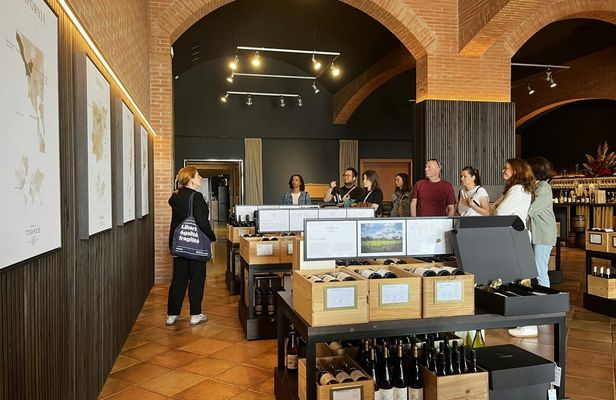 Familia Torres Winery Tour: Gastronomic & Wine Experience