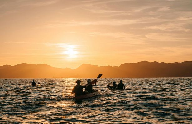 Alcudia kayak sunset tour