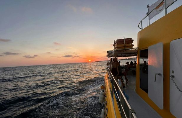 Sunset cruise, turtle watching and unlimited drinks from Paphos