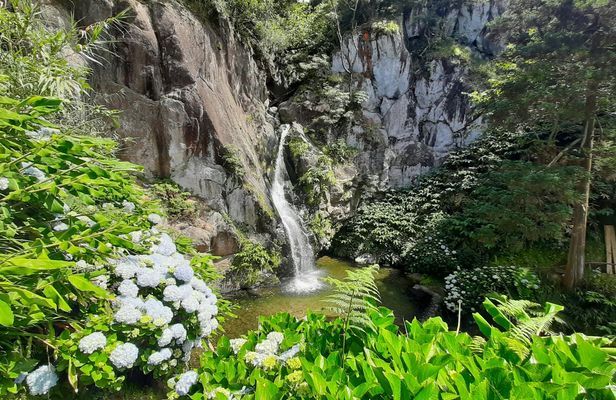 Guided adventure tour through nature and marine life