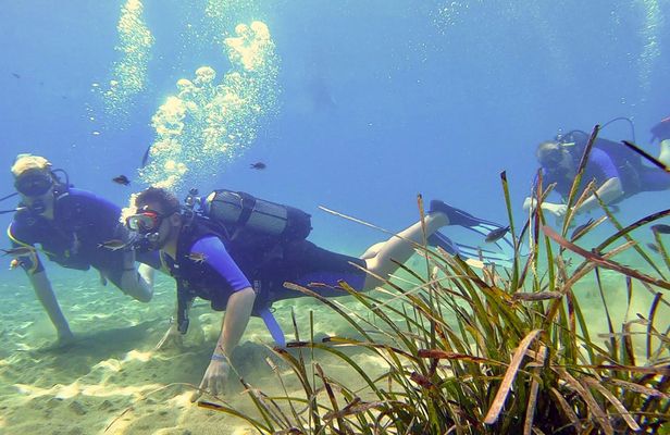 Scuba diving lesson for beginners in Crete with pick-up option