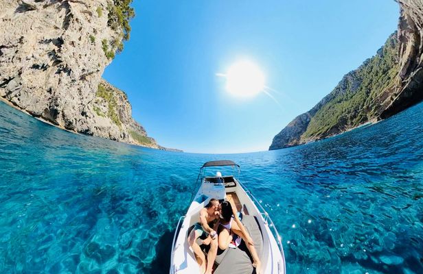 Sunrise dolphin watching and snorkelling tour in Mallorca