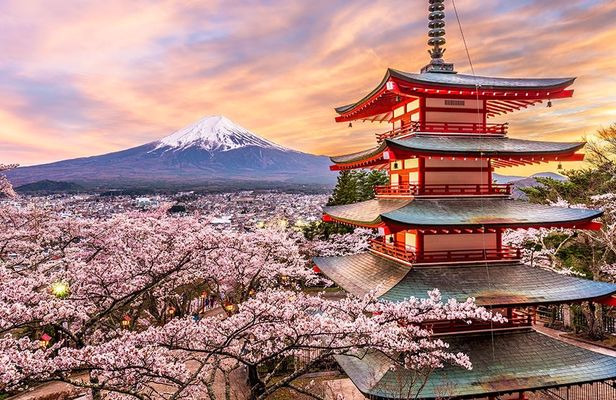 Tour to Mt. Fuji Area, Oshino Hakkai and Kawaguchi Lake from Tokyo