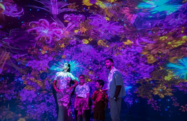 Entrance tickets for the AYA Universe experience in Dubai