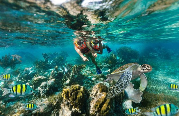 Snorkelling Adventure in Marine National Park with Beachside Lunch