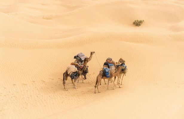 2-day desert tour from Tunis, Sousse or Hammamet