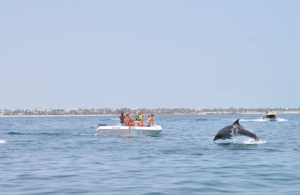 Dolphin watching boat trip from Djerba
