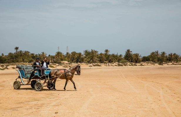 Djerba horse-drawn carriage tour with Blue Lagoon visit