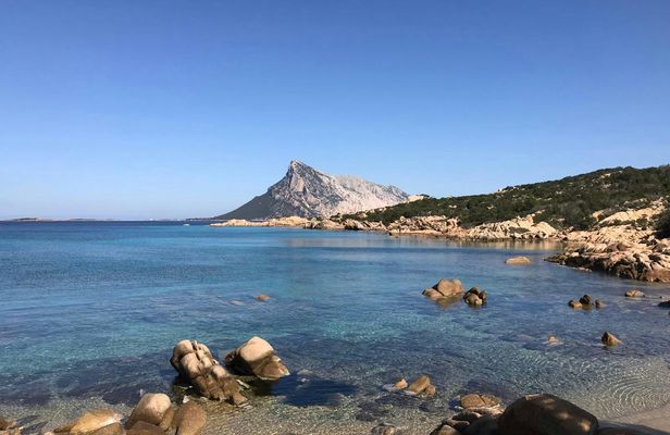 Tavolara half-day tour by dinghy from Bados