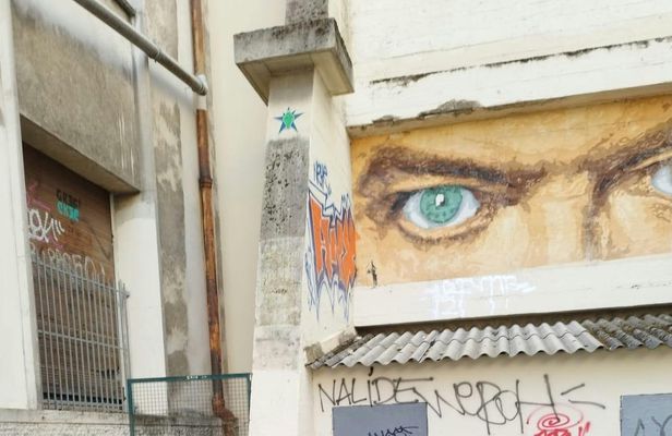 Street Art guided tour in Croix-Rousse