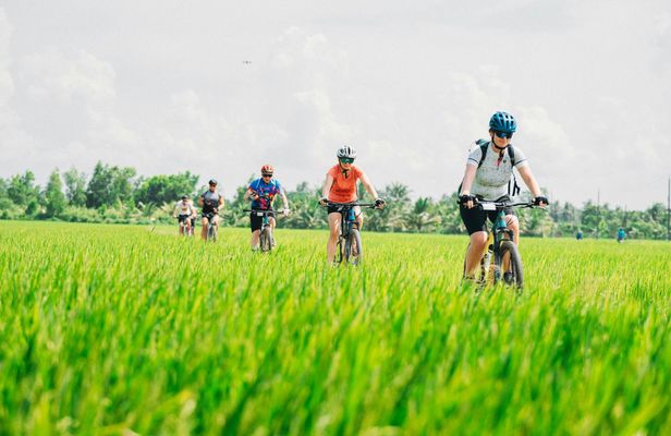Saigon countryside guided bike tour with lunch