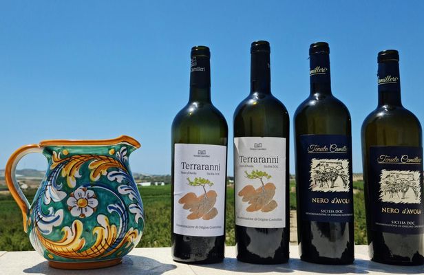 Nero d'Avola tasting and bottling experience in Agrigento