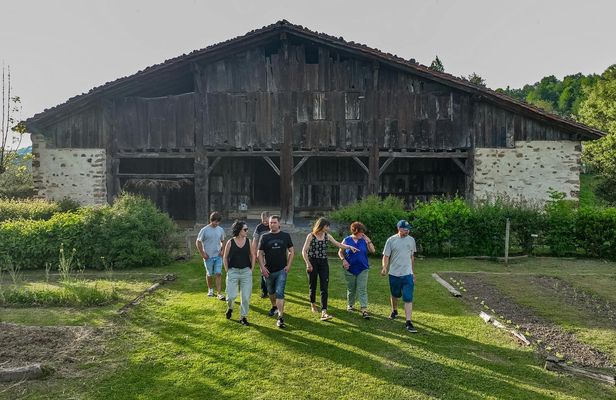 Traditional Basque farm and cider cellar tour with lunch