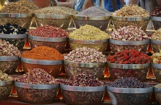 Old Dubai walking tour and Shindagha museum experience