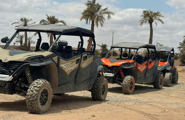 Marrakech palm grove off-road buggy adventure
