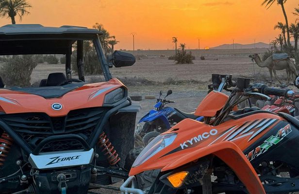 Marrakech 2-hour quad bike ride in the palm grove