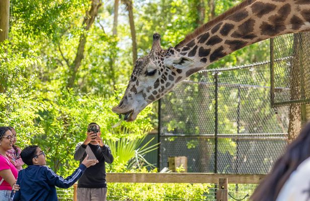 Central Florida Zoo and Botanical Gardens skip-the-line ticket