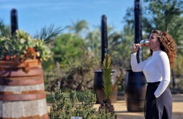 Wine tasting and tapas guided tour from Alicante