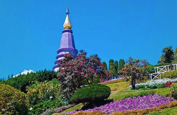 Private day trip with professional driver in Doi Inthanon