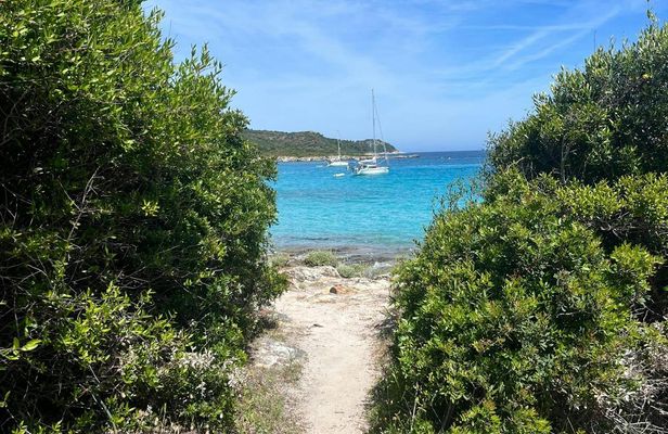 Self-guided wild coastal hike in Saint-Florent with pickup