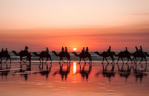 Buggy and camel ride in Tamlaline's dunes