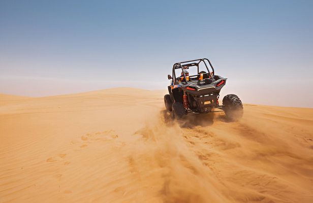 Paradise Valley and Atlas Mountains tour with buggy ride and lunch