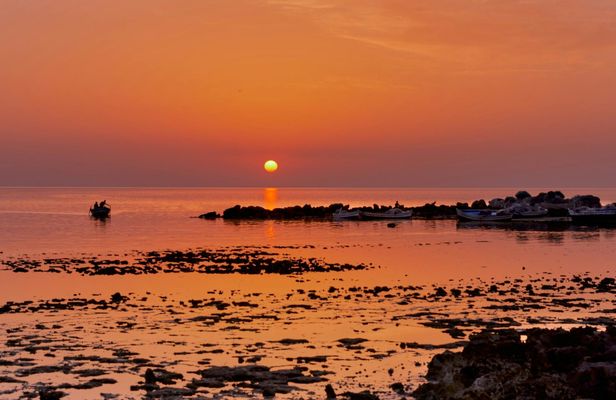 Sunrise horseback ride across Djerba's landscapes