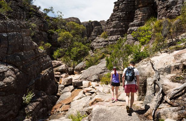 Grampians National Park Small-Group Full-Day Tour