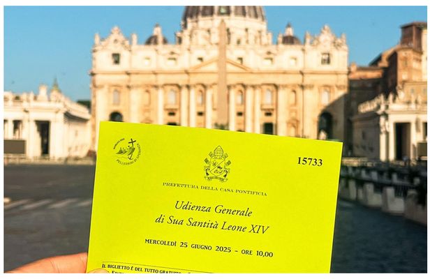 Papal audience and St. Peter's Basilica guided tour