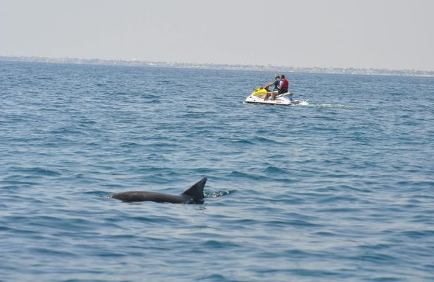Jet ski adventure