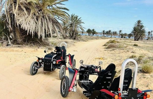 Swin-car eco-friendly adventure