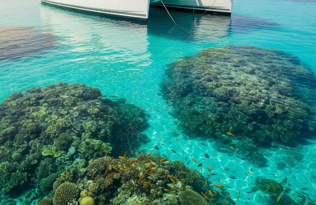 Key West Tour with Glassbottom Boat Ride from Miami Beach