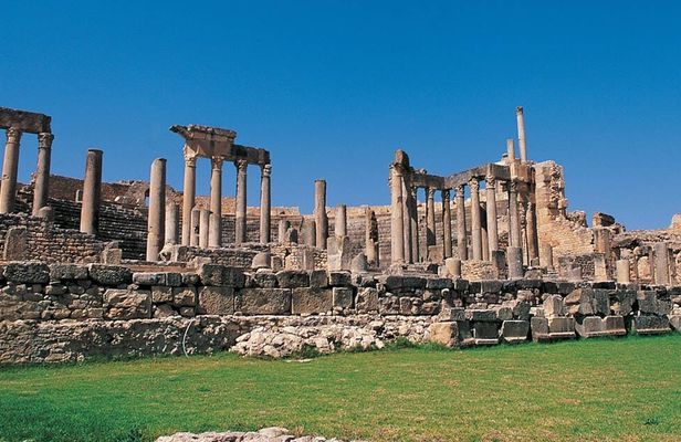 Bulla Regia and Dougga archaeological tour with lunch