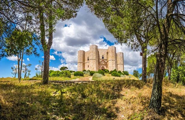 Half-day private tour to Castel del Monte from Bari
