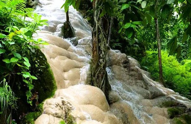 Half-day private tour with driver to Bua Thong Waterfall
