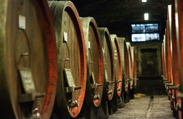 Chianti Rufina tour with wine tasting and lunch at Villa Travignoli