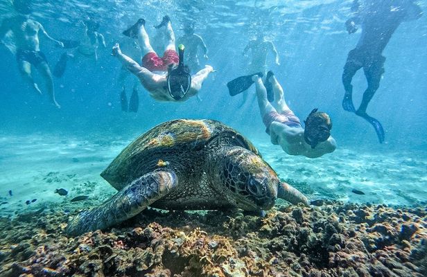 Koh Nangyuan and Hidden Bays Snorkeling Tour with Lunch from Kho Tao
