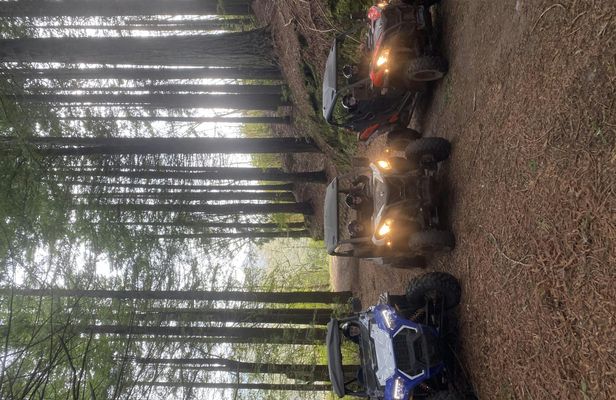 Private buggy off-road driving experience in Madeira