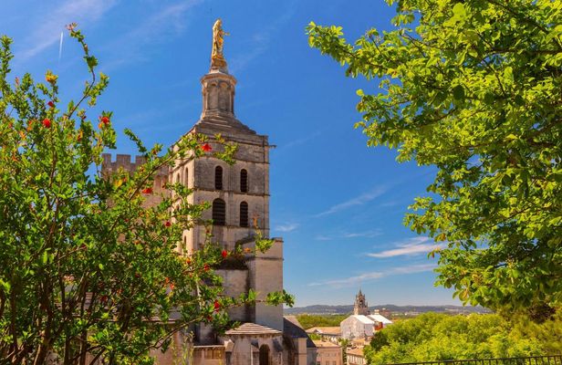 Avignon 2-hour introductory walking tour with a local