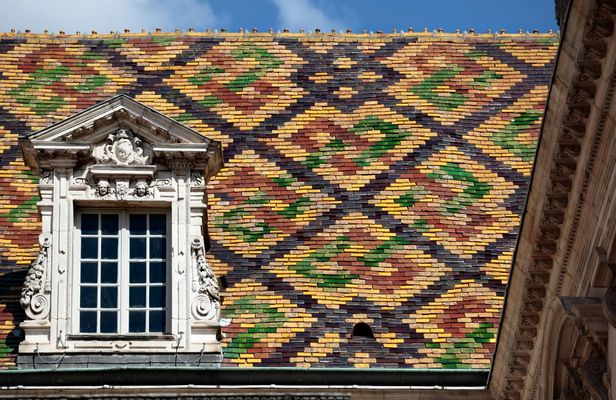 Dijon 2-hour introductory walking tour with a local