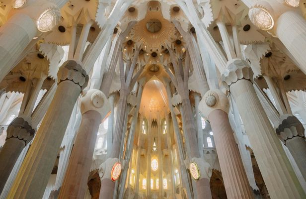 Barcelona 1-Day Guided Tour with Skip-the-Line Tickets and Transfers