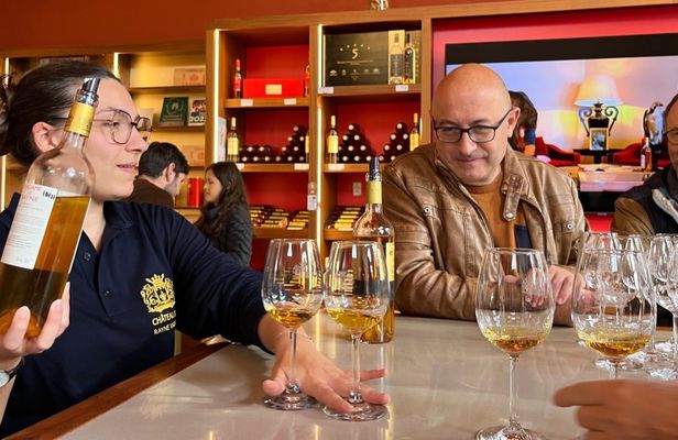 Private full-day tour to Graves and Sauternes in a 2CV from Bordeaux